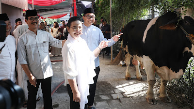 Tingkatkan Solidaritas dan Toleransi, Agustina Wali kota Semarang Serahkan Hewan Kurban Pada Perayaan Idul Adha