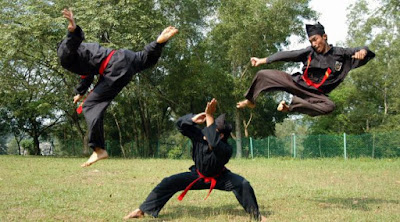 UKM MP PNL Pencak Silat