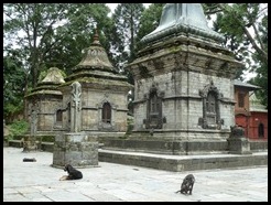 P1040793