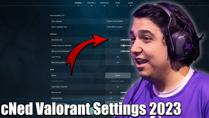 cNed Valorant Settings 2023