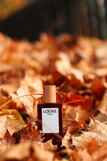 LOEWE Earth Woda Perfumowana