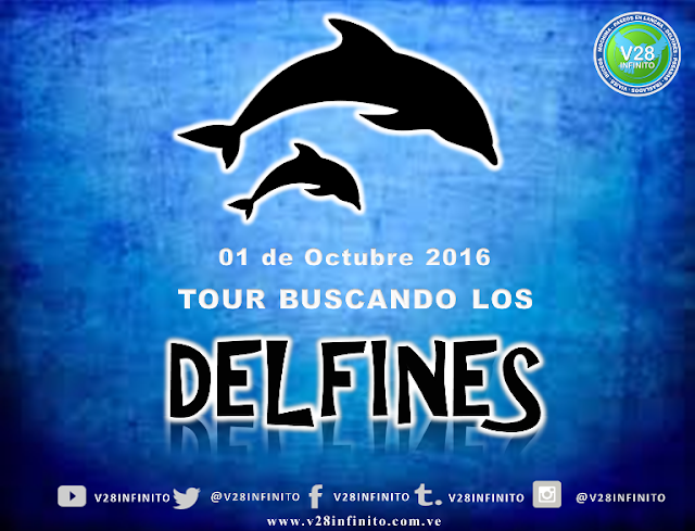 IMAGEN TOUR BUSCANDO LOS DELFINES 01 DE OCTUBRE 