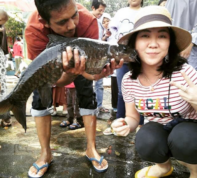 [http://FindWisata.blogspot.com] Wisata Ikan Dewa Cibulan | Wisata Rekerasi Keluarga