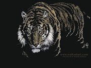 tiger wallpaper and photos. tiger black wallpaper