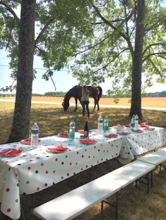 picnic at a riding holiday in France