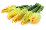 Las más conocidas son LAS ROSAS Y LAS FLORES AMARILLAS DE LAS CALABAZAS, . (floraci zucchini calabac aislados en blanco con flores comestibles vegetales inmaduras adjunta)