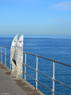 morning - jetty fish