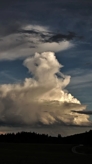 Evening, Forest, Clouds, Sky, Dusk