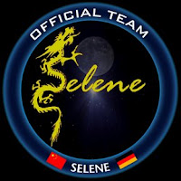 Image result for selene team