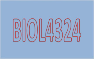 Soal Latihan Mandiri Embriologi Hewan BIOL4324