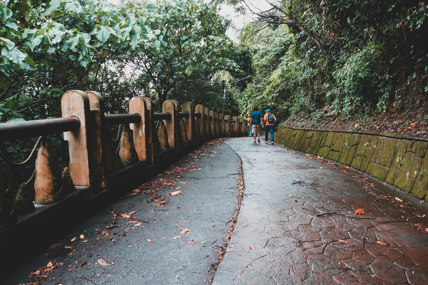 大坑登山步道