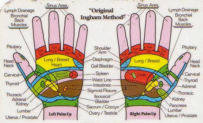 Ayurweda - Science of Life: Ayurvedic Reflexology