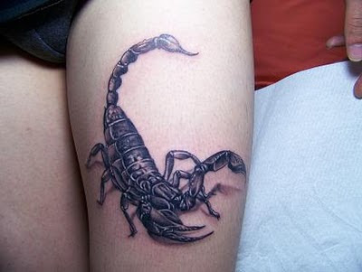 Scorpion Tattoo DesignBest Tattoos Design
