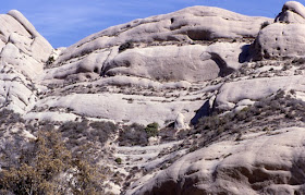 Grey rocks in California, some small bushes growing at a lower level, the rocks have face-like features