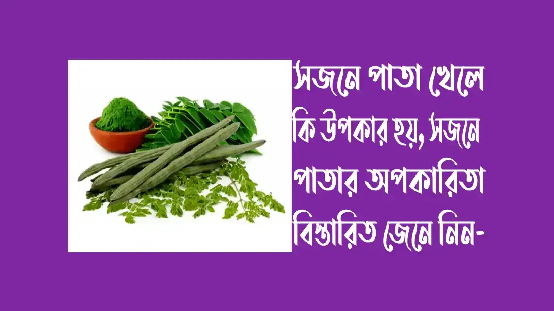 সজনে পাতা খেলে কি উপকার হয়