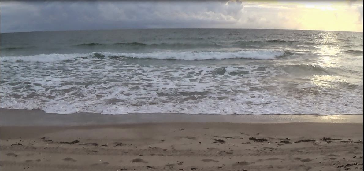 The Treasure Beaches Report Direct From Florida's Treasure ...