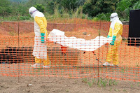 http://sciencythoughts.blogspot.co.uk/2014/07/at-least-467-dead-in-west-african-ebola.html