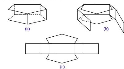  Jaring jaring  prisma segitiga segi lima dan segi enam