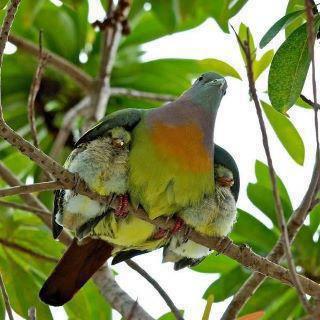 A Mother is always a Mother