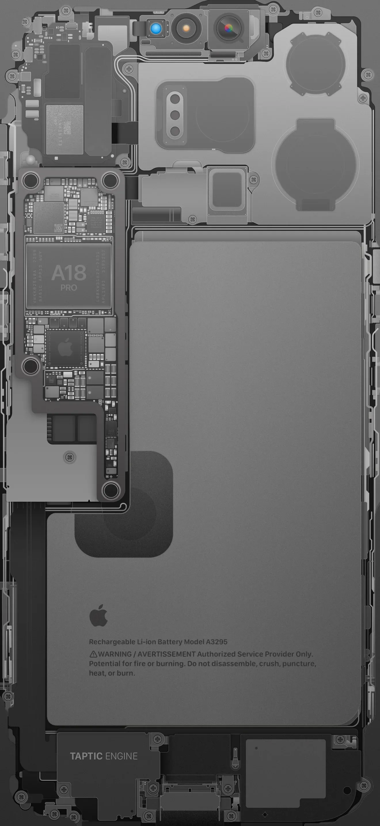 Silver Titanium