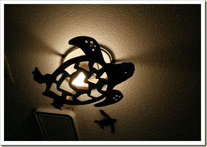 IMG_0787 IMG_0787