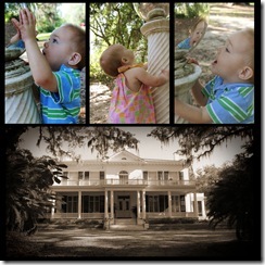 Goodwood Collage1