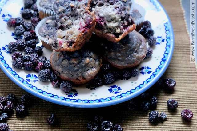 photo of black raspberry oatmeal muffins on a plate