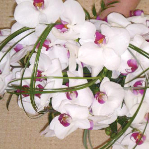 Orchid Wedding Flowers