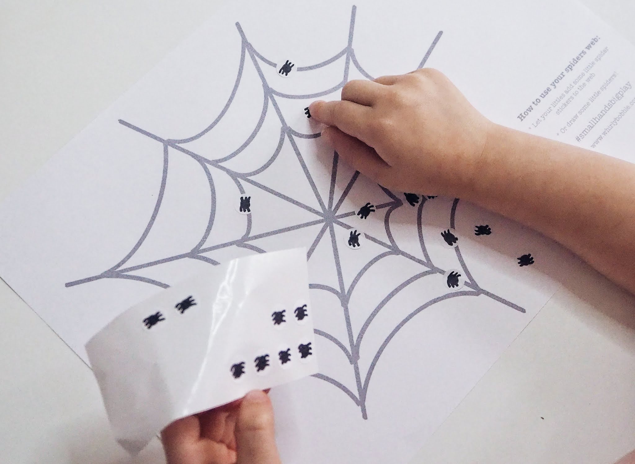 spider web sticking activity