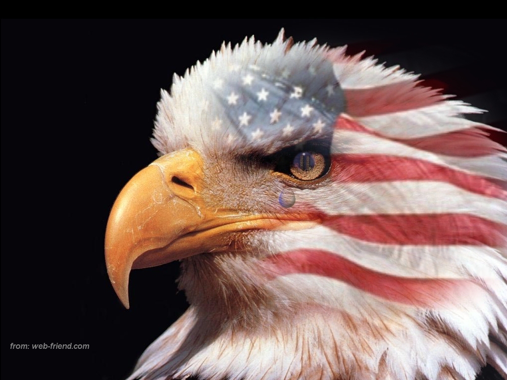 American Flag Eagle : Patriotism and Heroism