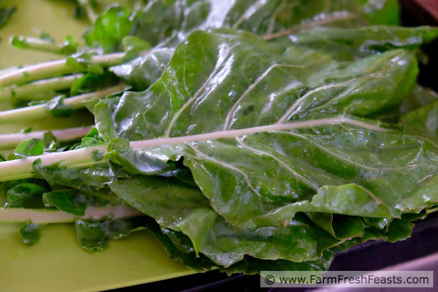 http://www.farmfreshfeasts.com/2015/06/grilled-kohlrabi-leaf-chips-on-stick.html