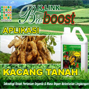 https://bioboostsakti.blogspot.co.id/2016/10/aplikasi-bioboost-untuk-tanaman-kacang.html