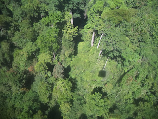 Bà Nà Hills