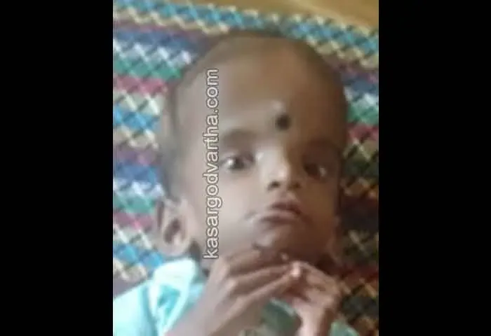 Another endosulfan victim died