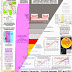 Planetary Genocide - Ecocide between 2023 and 2031