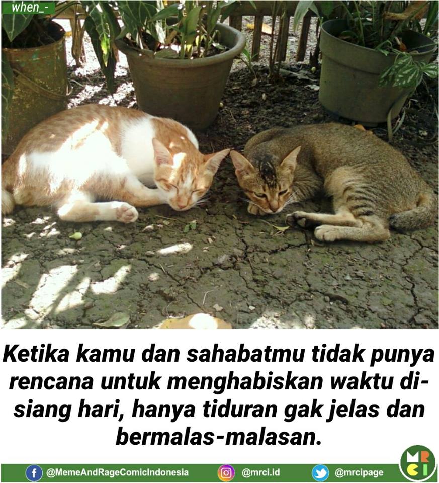 Kumpulan Meme Lucu Anak Kost Untuk Status Dan Snapgram Kosngosan