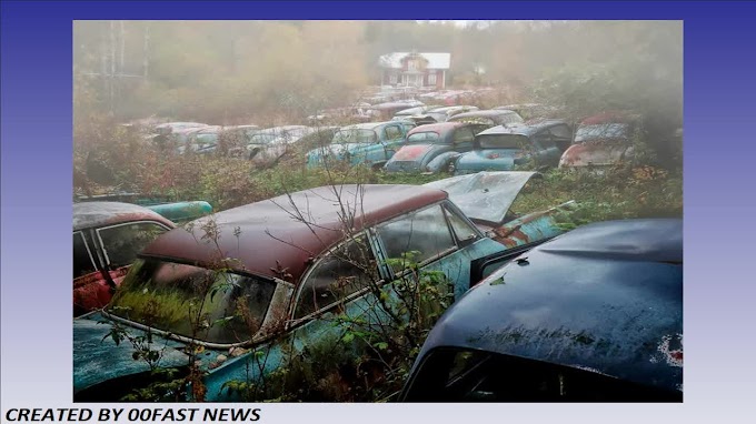 The blurred excellence of relinquished vehicles across Europe and the US | 00Fast News