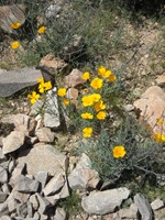 DSCN1157