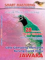 CUCAK HIJAU MASTERING