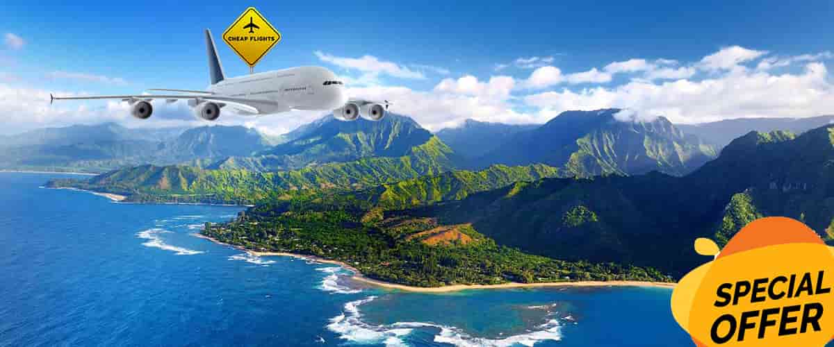 Hawaiian airline ticket purchase