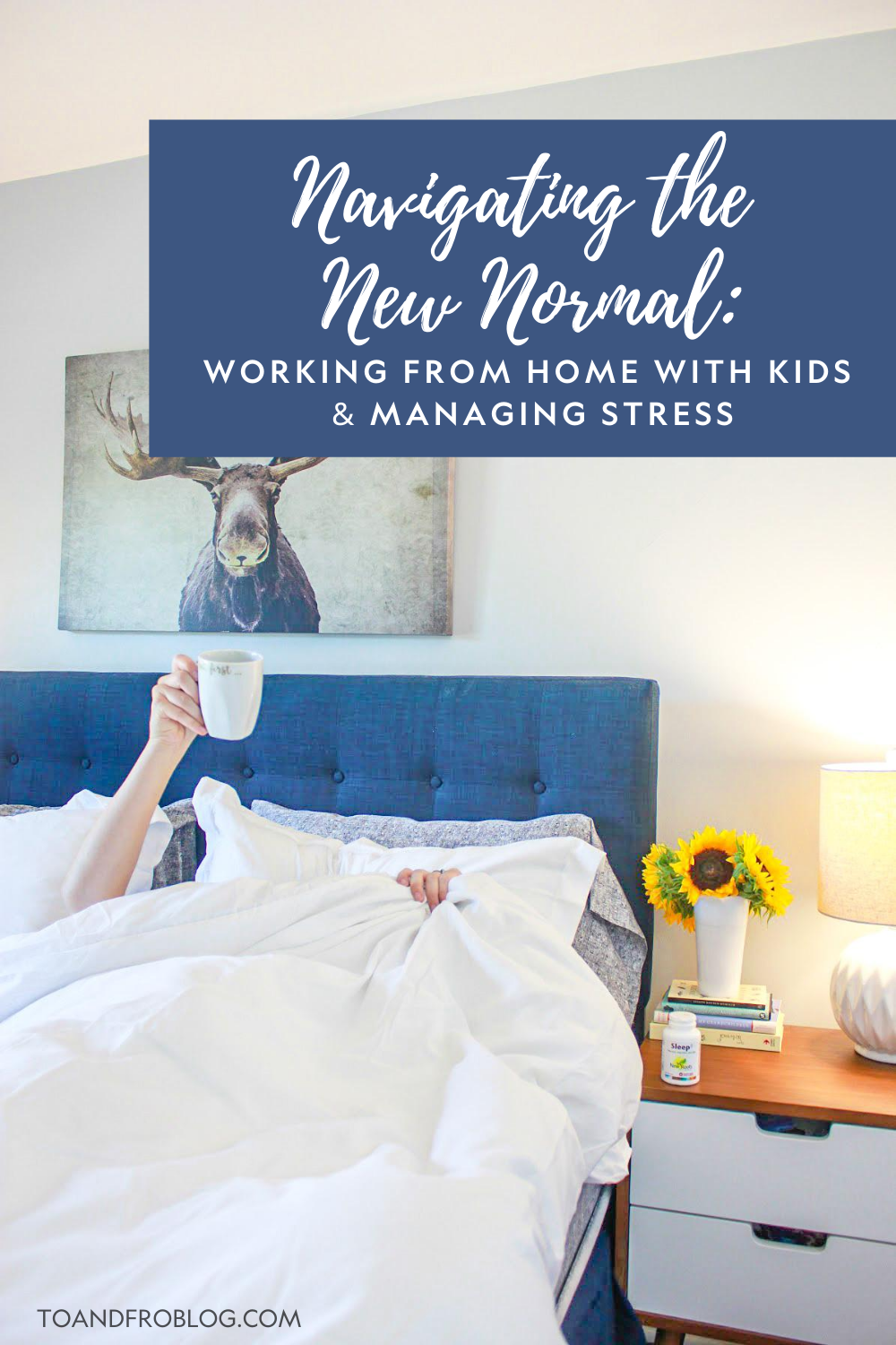 Navigating the New Normal - Working From Home with Kids & Managing Stress