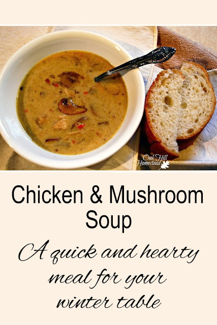 Chicken and mushroom soup