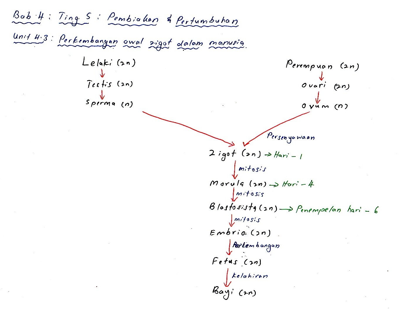 Biology A+: Nota Kreatif Biologi (Credit to Mr Shahril-Lizan)