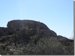 DSCN3003