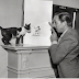 Τι δείχνει ο Γουόλτ Ντίσνεϊ στην γάτα; 