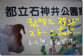 今日カズ１００１１８　３