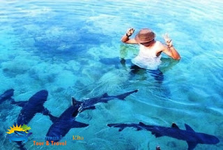 wisatawan backpacker karimunjawa