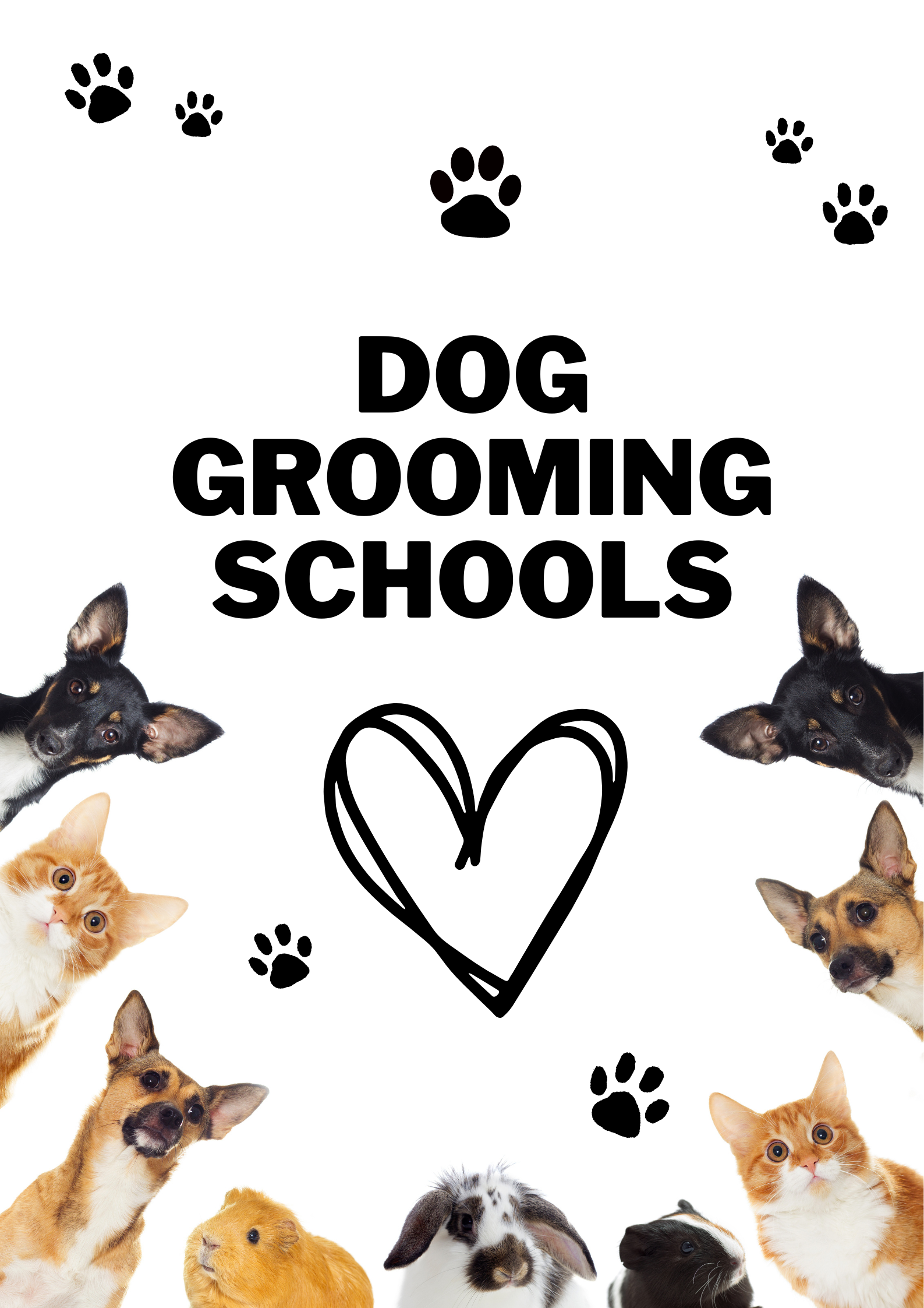 Dog Grooming Schools