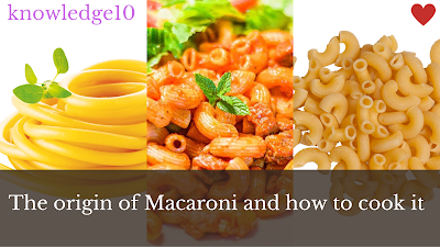 The origin of Macaroni and how to cook it