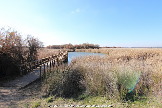 Parque Nacional Tablas de Daimiel